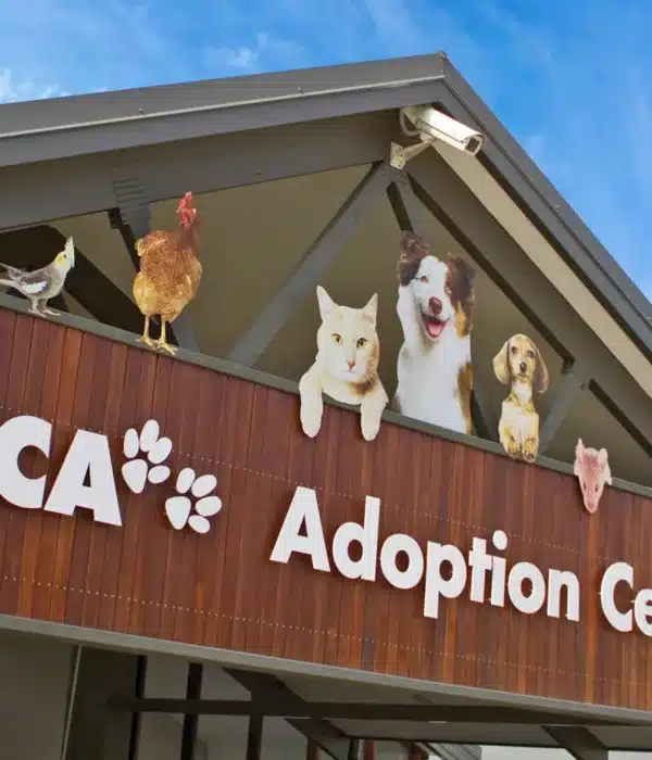 RSPCA Qld